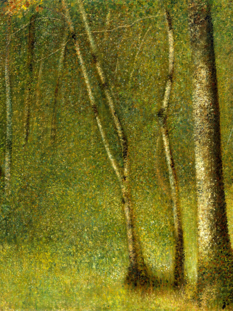 "The Forest at Pontaubert" by Seurat, art reproduction.