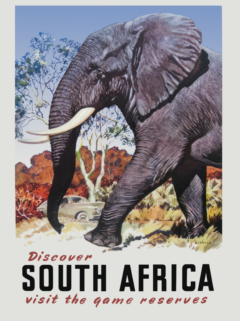 Vintage 1960s South Africa travel poster featuring an elephant by Mildred Burrage.