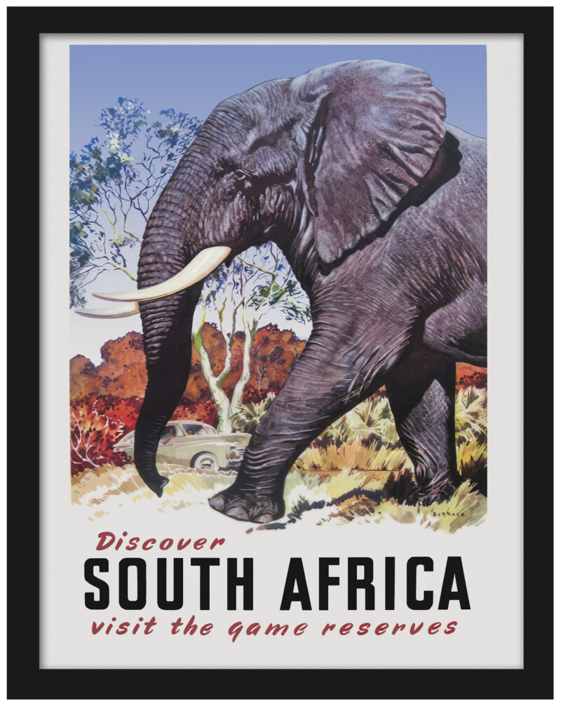 Vintage 1960s South Africa travel poster featuring an elephant by Mildred Burrage.