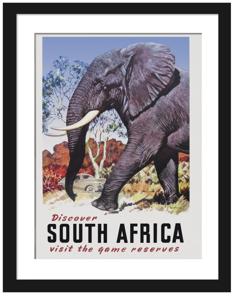 Vintage 1960s South Africa travel poster featuring an elephant by Mildred Burrage.
