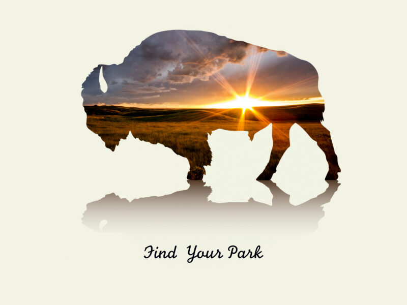 Bison Silhouette Sunset Poster from Theodore Roosevelt National Park