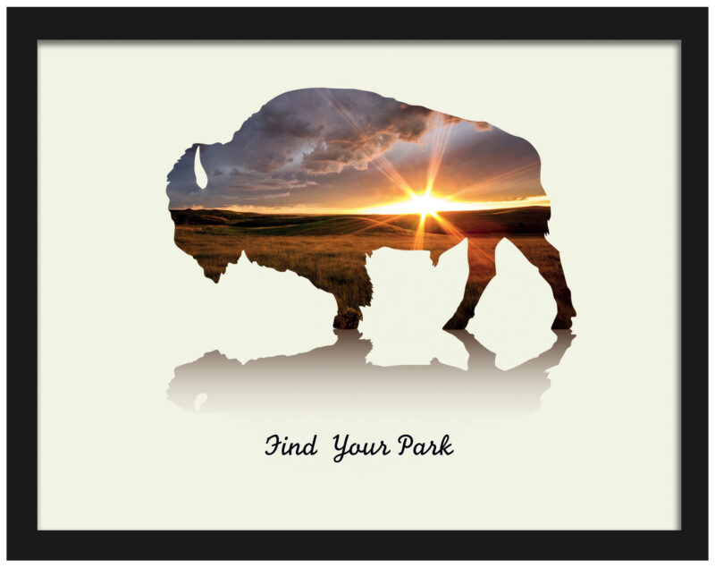 Bison Silhouette Sunset Poster from Theodore Roosevelt National Park