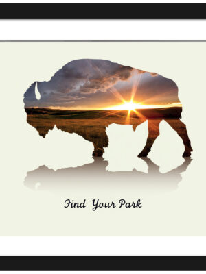 Bison Silhouette Sunset Poster from Theodore Roosevelt National Park