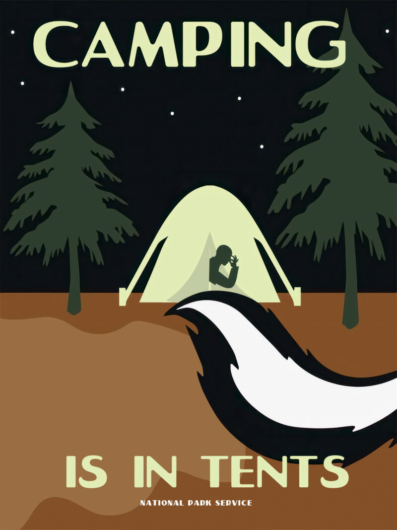 Vintage National Parks camping poster with tent and night sky