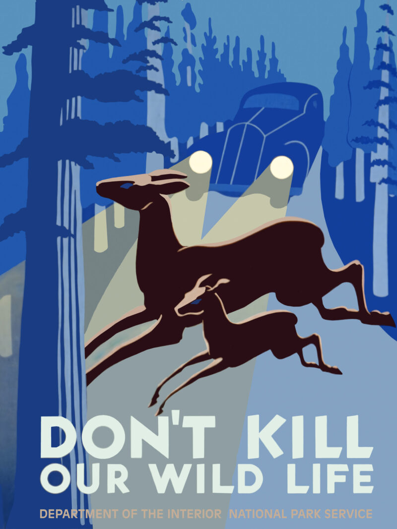 1938 vintage wildlife poster with deer in headlights