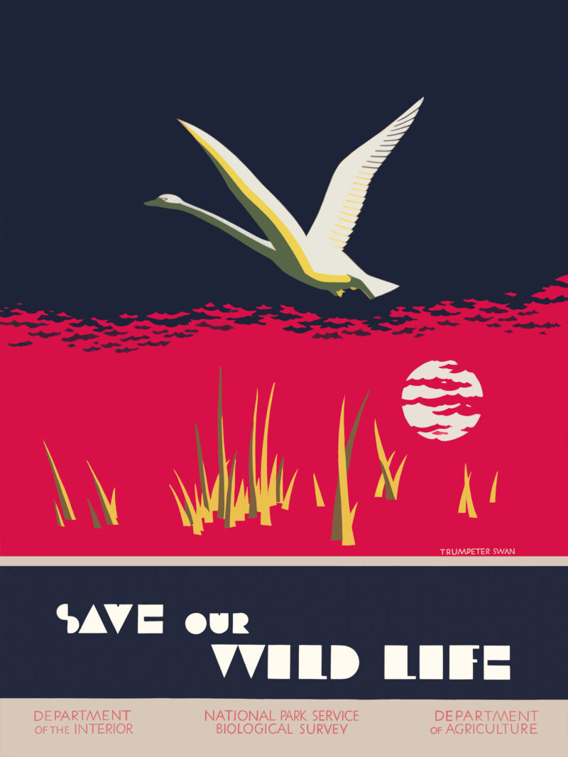 1935 vintage Dorothy Waugh wildlife conservation poster.