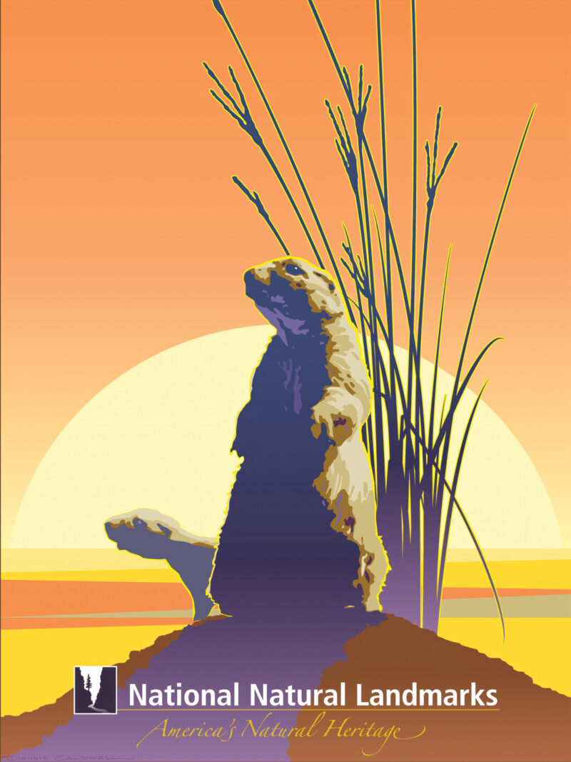 Vintage prairie dog art print against an orange sunset background