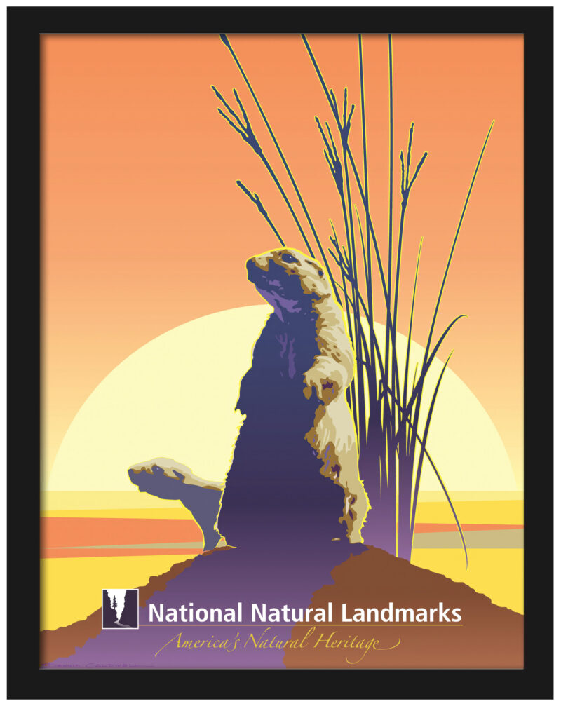 Vintage prairie dog art print against an orange sunset background