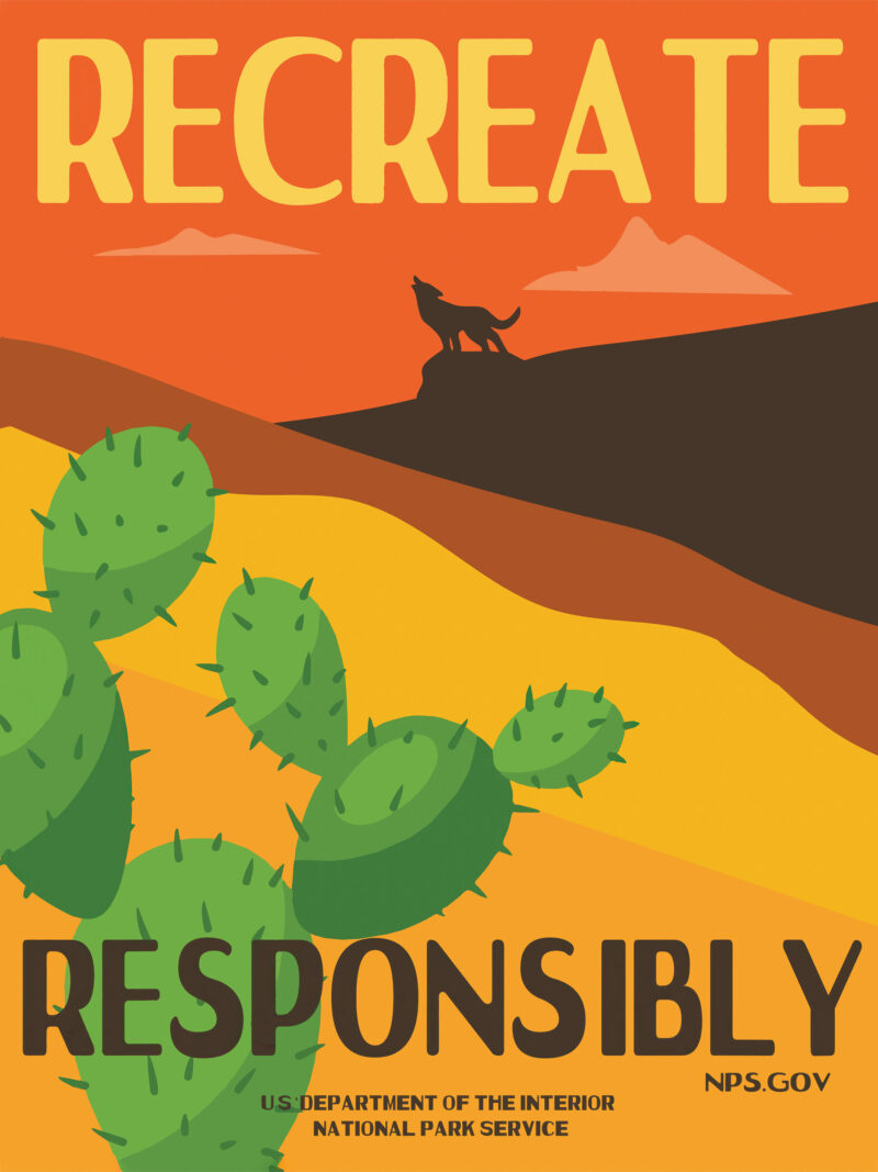 Vintage desert coyote and cactus national park poster