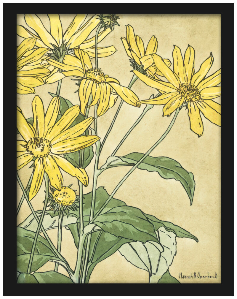 Hannah Borger Overbeck's 1915 "Sunflowers" print reproduction.