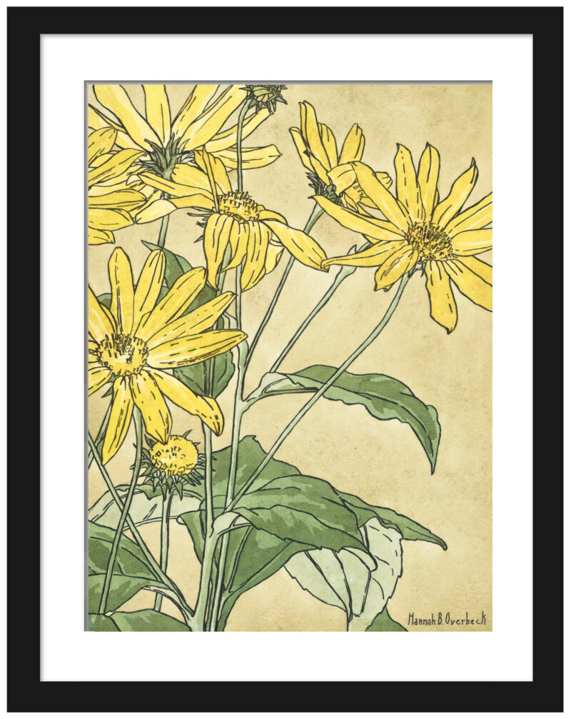 Hannah Borger Overbeck's 1915 "Sunflowers" print reproduction.