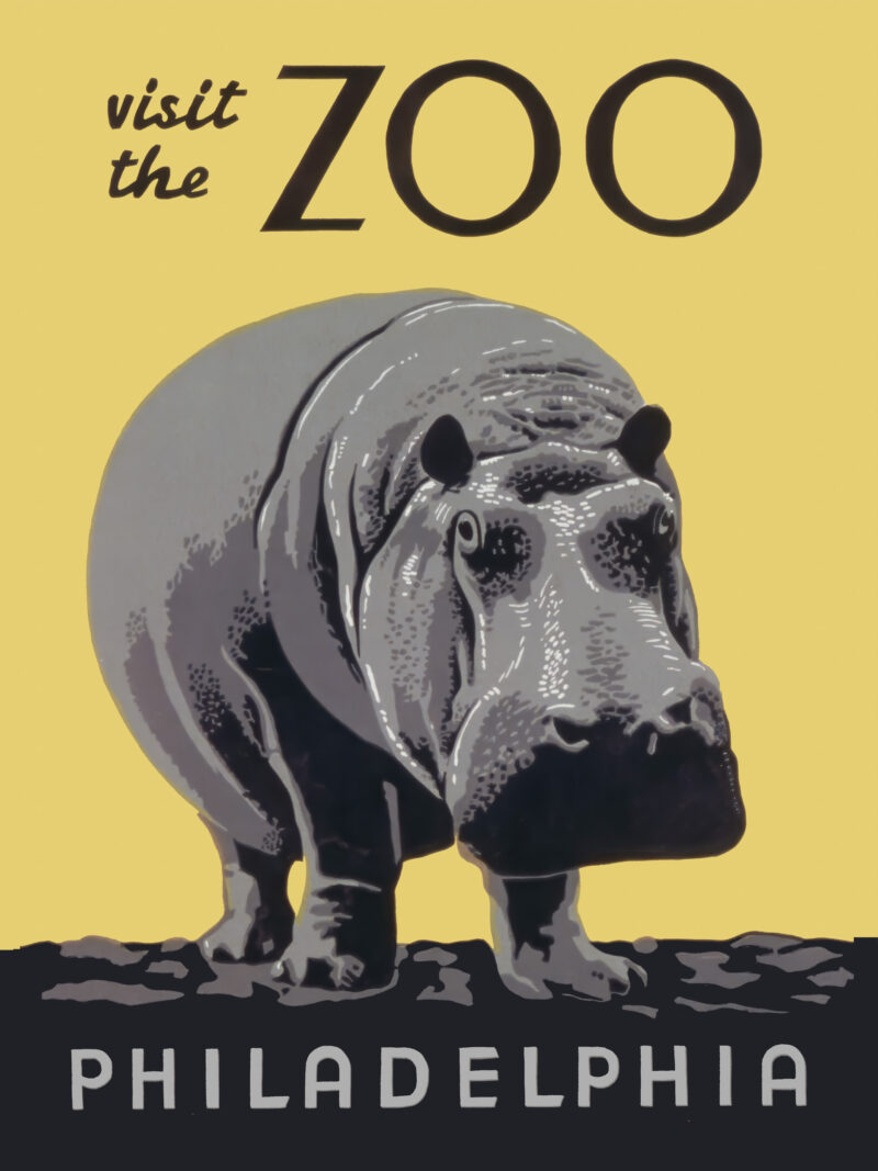 1930s vintage Philadelphia Zoo poster featuring a hippopotamus